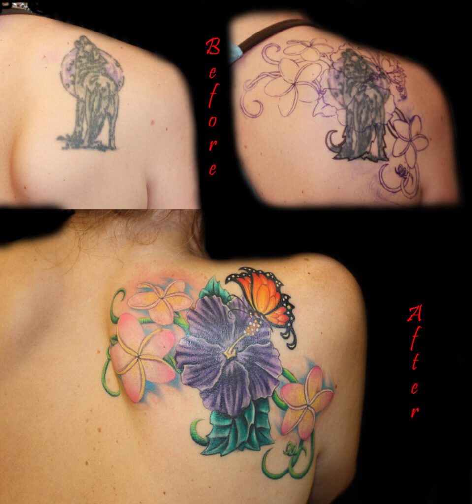 emily's hibiscus copy