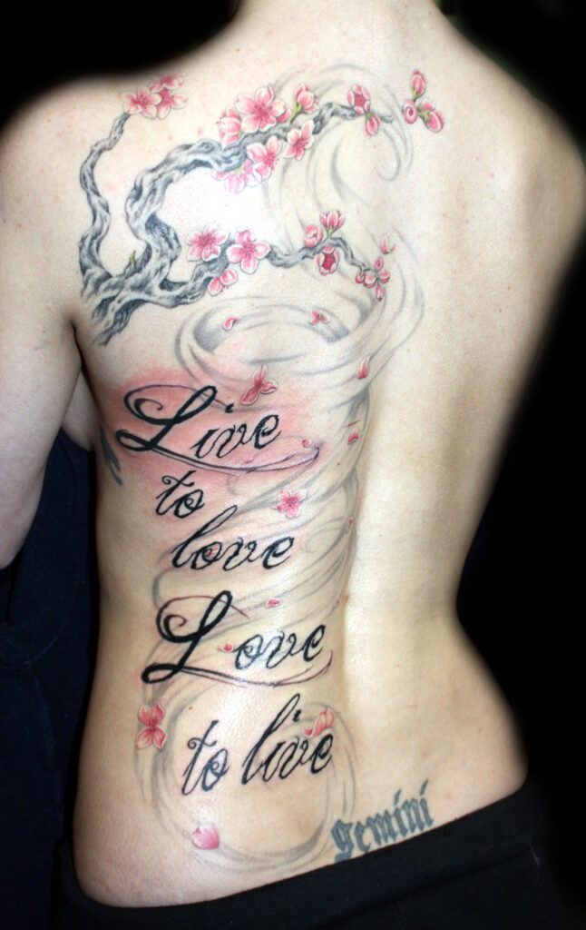 falling cherry blossoms with quote